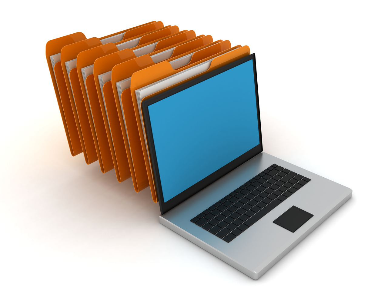Computer Data File